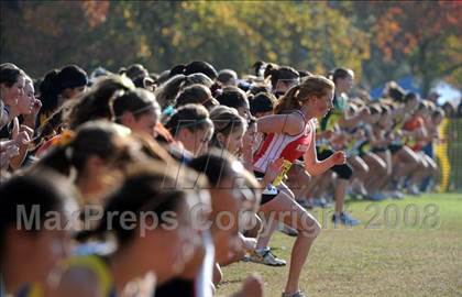 Thumbnail 1 in CIF State Championships photogallery.