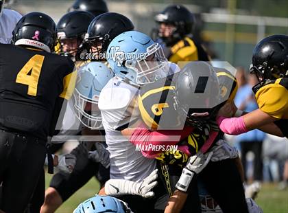Thumbnail 1 in Villa Park @ Foothill photogallery.