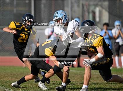 Thumbnail 3 in Villa Park @ Foothill photogallery.