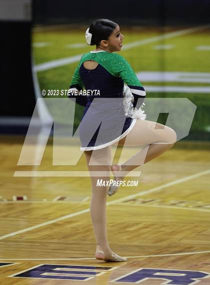 Thumbnail 2 in Standley Lake CHSAA Spirit Poms photogallery.