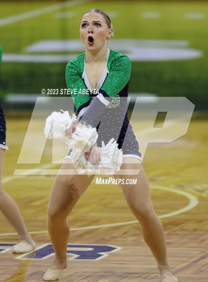 Thumbnail 1 in Standley Lake CHSAA Spirit Poms photogallery.
