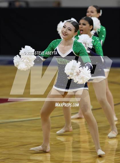 Thumbnail 2 in Standley Lake CHSAA Spirit Poms photogallery.