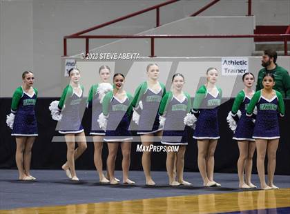 Thumbnail 1 in Standley Lake CHSAA Spirit Poms photogallery.