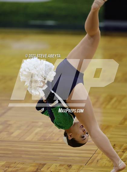 Thumbnail 1 in Standley Lake CHSAA Spirit Poms photogallery.