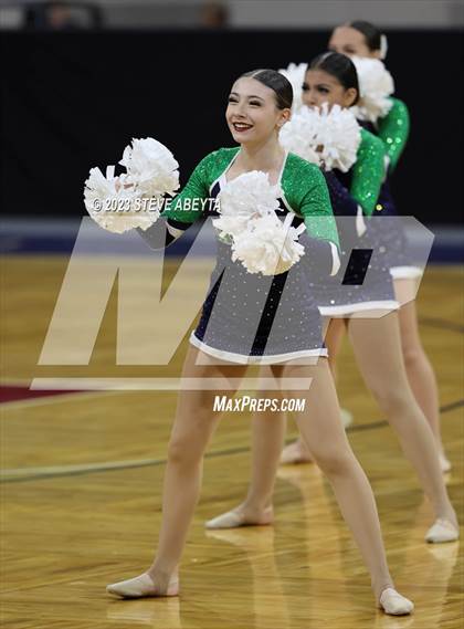 Thumbnail 1 in Standley Lake CHSAA Spirit Poms photogallery.