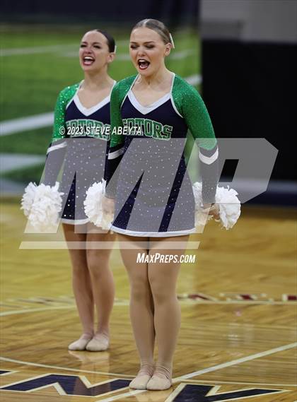 Thumbnail 1 in Standley Lake CHSAA Spirit Poms photogallery.