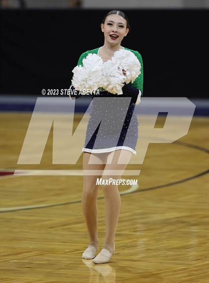 Thumbnail 3 in Standley Lake CHSAA Spirit Poms photogallery.