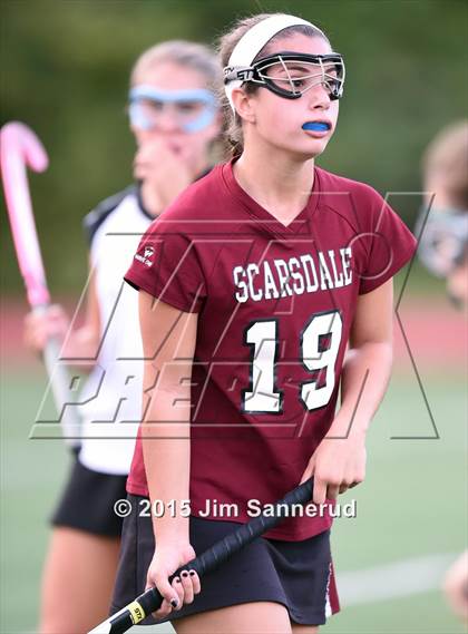 Thumbnail 3 in Scarsdale @ Rye photogallery.