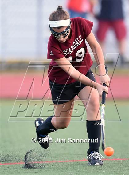 Thumbnail 2 in JV: Scarsdale @ Rye photogallery.