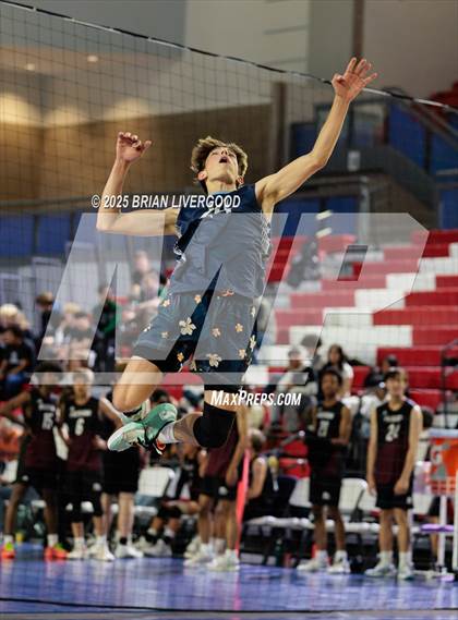 Thumbnail 2 in Littleton Public Schools vs. Niwot (CHSAA 5A Round 1) photogallery.