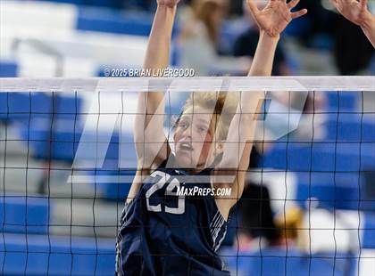 Thumbnail 3 in Littleton Public Schools vs. Niwot (CHSAA 5A Round 1) photogallery.