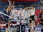 Photo from the gallery "Littleton Public Schools vs. Niwot (CHSAA 5A Round 1)"