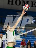 Photo from the gallery "Littleton Public Schools vs. Niwot (CHSAA 5A Round 1)"