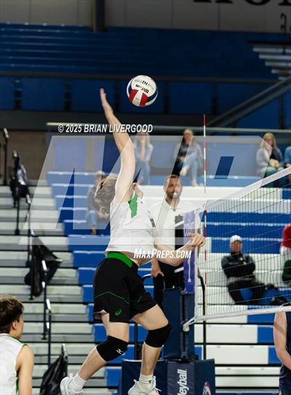 Thumbnail 3 in Littleton Public Schools vs. Niwot (CHSAA 5A Round 1) photogallery.