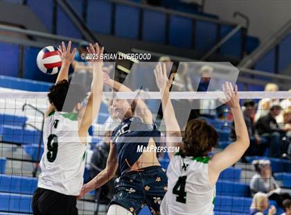 Thumbnail 1 in Littleton Public Schools vs. Niwot (CHSAA 5A Round 1) photogallery.