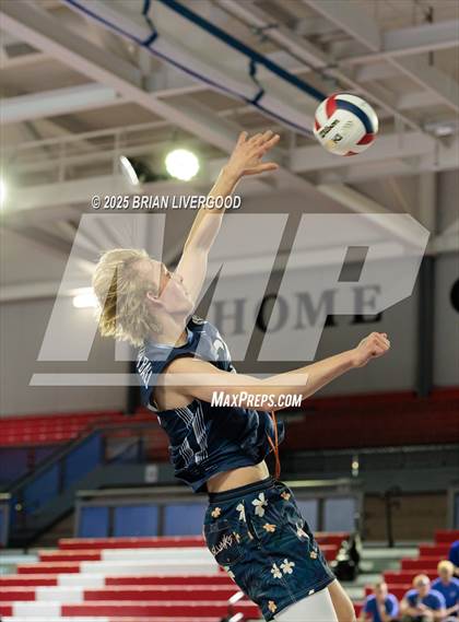 Thumbnail 2 in Littleton Public Schools vs. Niwot (CHSAA 5A Round 1) photogallery.