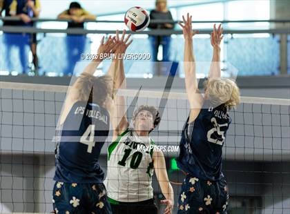 Thumbnail 2 in Littleton Public Schools vs. Niwot (CHSAA 5A Round 1) photogallery.