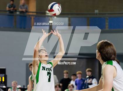 Thumbnail 3 in Littleton Public Schools vs. Niwot (CHSAA 5A Round 1) photogallery.