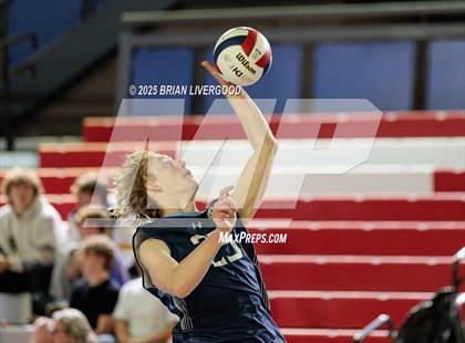 Thumbnail 3 in Littleton Public Schools vs. Niwot (CHSAA 5A Round 1) photogallery.