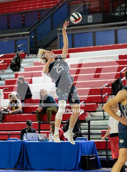 Thumbnail 2 in Littleton Public Schools vs. Niwot (CHSAA 5A Round 1) photogallery.