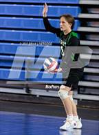 Photo from the gallery "Littleton Public Schools vs. Niwot (CHSAA 5A Round 1)"