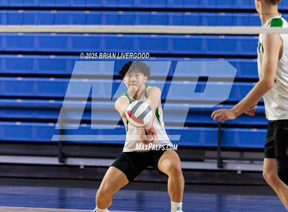Thumbnail 2 in Littleton Public Schools vs. Niwot (CHSAA 5A Round 1) photogallery.