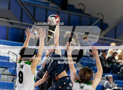 Thumbnail 2 in Littleton Public Schools vs. Niwot (CHSAA 5A Round 1) photogallery.