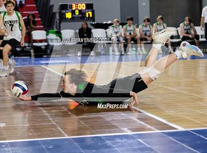 Thumbnail 1 in Littleton Public Schools vs. Niwot (CHSAA 5A Round 1) photogallery.