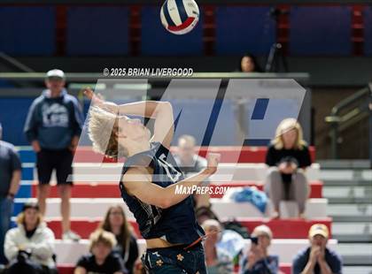 Thumbnail 1 in Littleton Public Schools vs. Niwot (CHSAA 5A Round 1) photogallery.