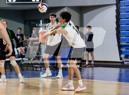 Thumbnail 3 in Littleton Public Schools vs. Niwot (CHSAA 5A Round 1) photogallery.