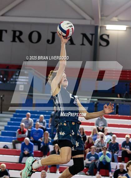 Thumbnail 2 in Littleton Public Schools vs. Niwot (CHSAA 5A Round 1) photogallery.