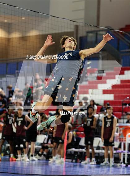 Thumbnail 1 in Littleton Public Schools vs. Niwot (CHSAA 5A Round 1) photogallery.