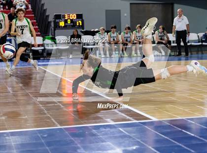 Thumbnail 3 in Littleton Public Schools vs. Niwot (CHSAA 5A Round 1) photogallery.