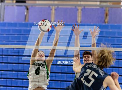 Thumbnail 1 in Littleton Public Schools vs. Niwot (CHSAA 5A Round 1) photogallery.
