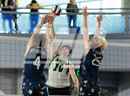 Thumbnail 1 in Littleton Public Schools vs. Niwot (CHSAA 5A Round 1) photogallery.