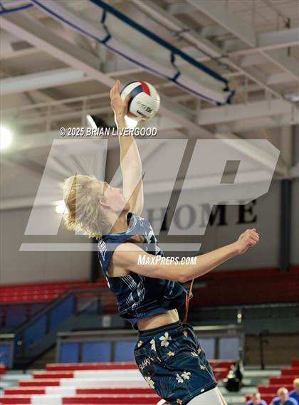Thumbnail 1 in Littleton Public Schools vs. Niwot (CHSAA 5A Round 1) photogallery.