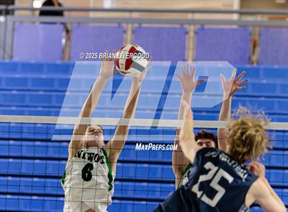Thumbnail 3 in Littleton Public Schools vs. Niwot (CHSAA 5A Round 1) photogallery.