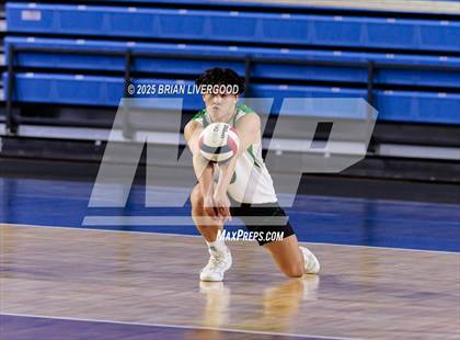 Thumbnail 1 in Littleton Public Schools vs. Niwot (CHSAA 5A Round 1) photogallery.