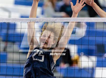 Thumbnail 1 in Littleton Public Schools vs. Niwot (CHSAA 5A Round 1) photogallery.