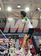 Photo from the gallery "Littleton Public Schools vs. Niwot (CHSAA 5A Round 1)"