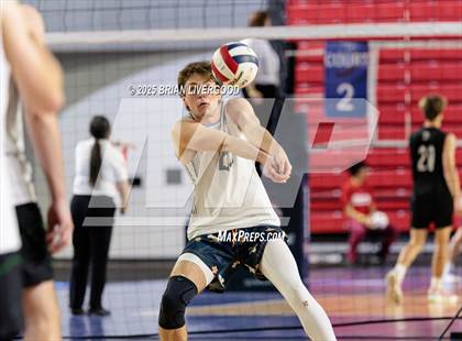 Thumbnail 3 in Littleton Public Schools vs. Niwot (CHSAA 5A Round 1) photogallery.
