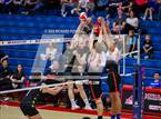 Photo from the gallery "Central @ Buchanan"