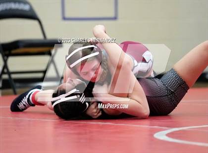 Thumbnail 2 in Cougar Classic photogallery.
