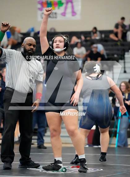 Thumbnail 3 in Cougar Classic photogallery.