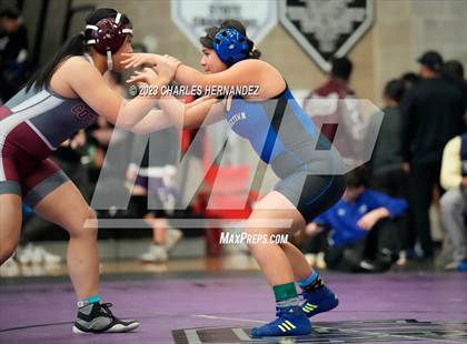 Thumbnail 2 in Cougar Classic photogallery.