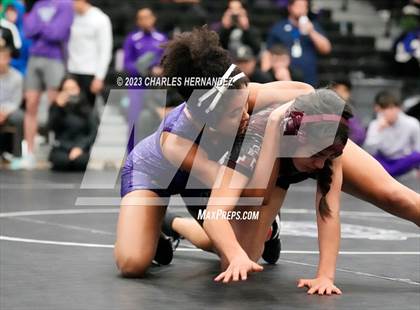 Thumbnail 1 in Cougar Classic photogallery.