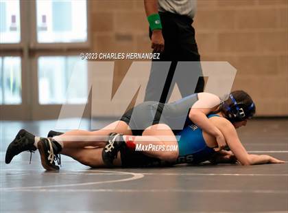 Thumbnail 1 in Cougar Classic photogallery.