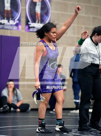 Thumbnail 3 in Cougar Classic photogallery.