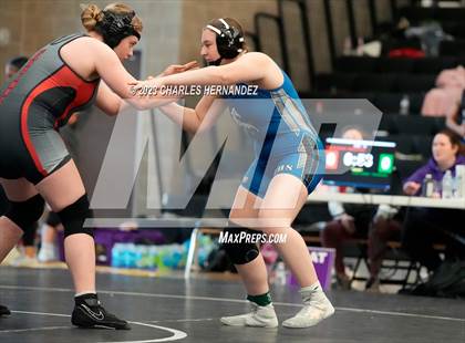 Thumbnail 2 in Cougar Classic photogallery.