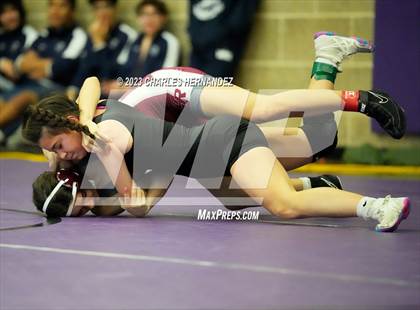 Thumbnail 1 in Cougar Classic photogallery.